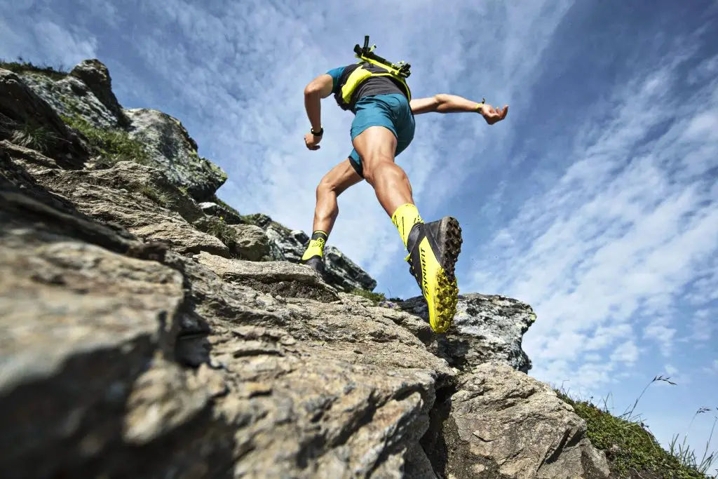 Crucial Considerations for Selecting the Ideal Ultra Marathon Running Shoes